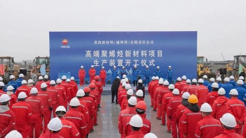 实木拼板胶：揭秘其背后的技术奥秘与应用场景