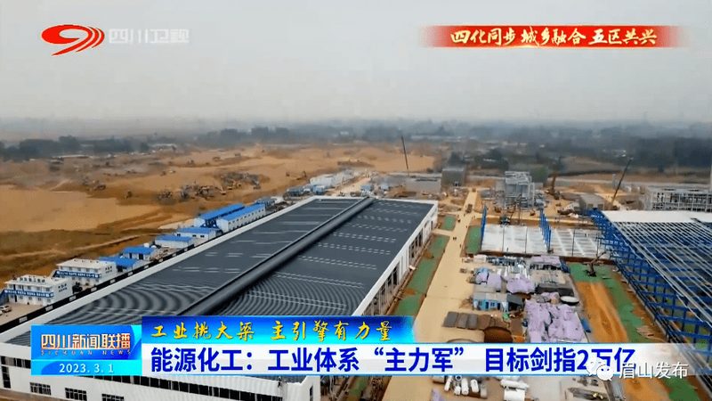 工业添加剂定制：如何确保品质与合规？**